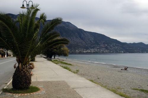 City Central Apartment - Filellinon