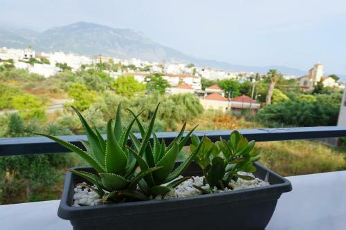 Apartamento Allseasonsapartment
