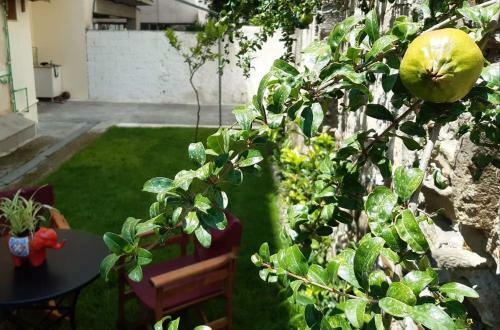 Apartamento Anastasis Garden Room