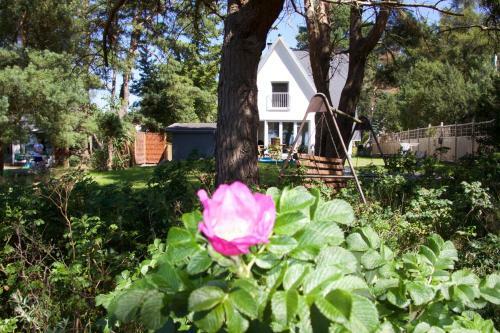 Ferienhaus-achterwasser-usedom