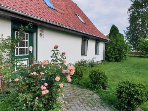 �ko-ferienhaus