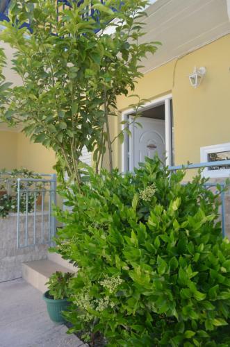 Apartamento Sweet Holiday