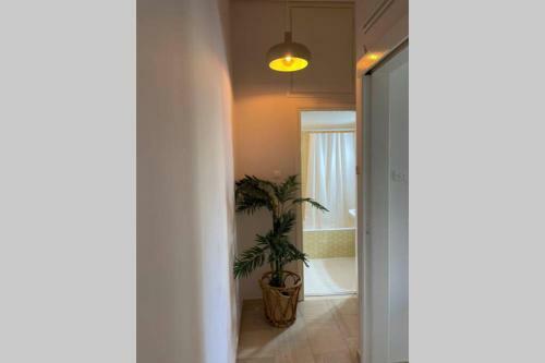 Studio Stay Apartment