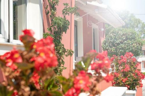 Lefko?s House- Contemporary, Fully Renovated House
