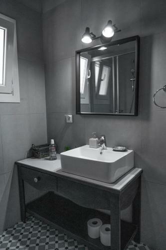 Lefko?s House- Contemporary, Fully Renovated House