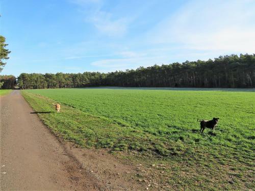 Heidehaus Lippl Am Steinhuder Meer
