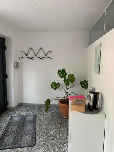 Apartamento Kraichgauer - Cent