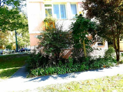 Apartamento Anettlak