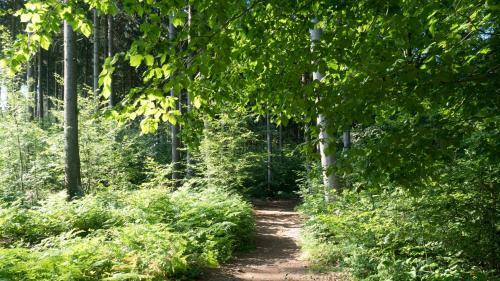 Itm Hotel Bettk�stchen Am Sachsenwald