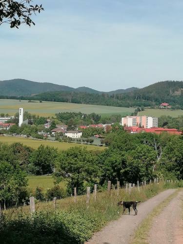 Apartamento Atlanta II Reinhardshausen