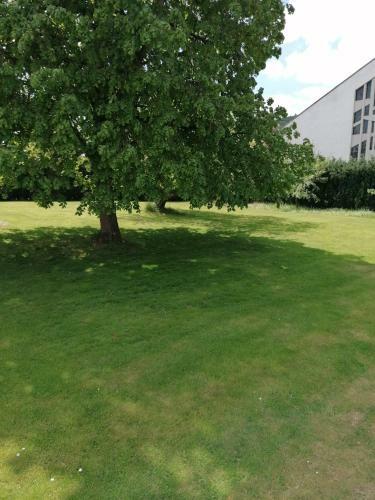 Apartamento Atlanta II Reinhardshausen