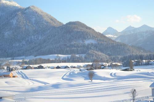 Aparthotel Pension Alpenblick