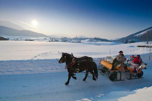 Aparthotel Pension Alpenblick