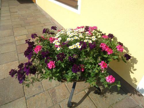 Aparthotel Pension Wald