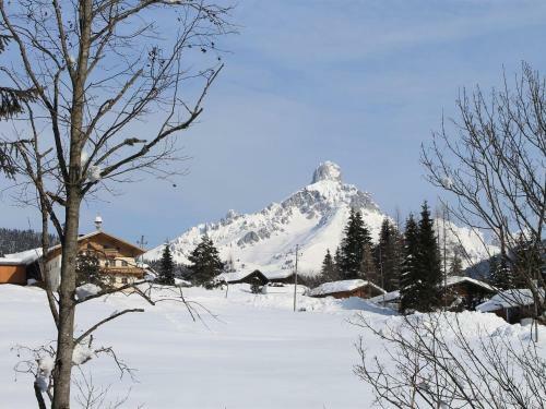 Apartment Schoberhof Filzmoos