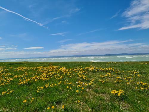 Eda Beach Galerius Apartman