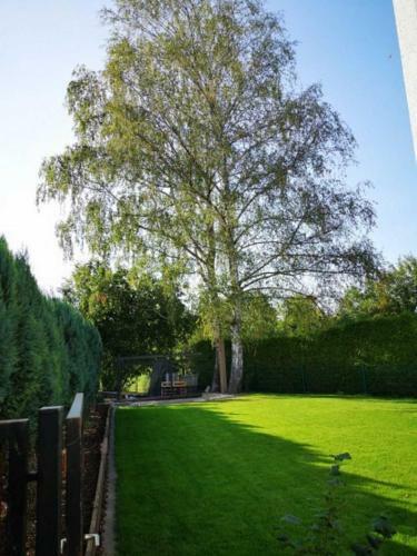Apartamento Birkenblick Ferienwohnung Owwe