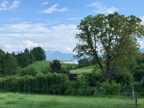 Apartamento Haus Dreiseenblick