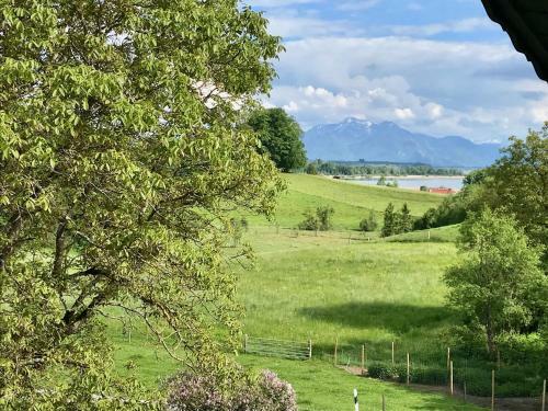 Apartamento Haus Dreiseenblick