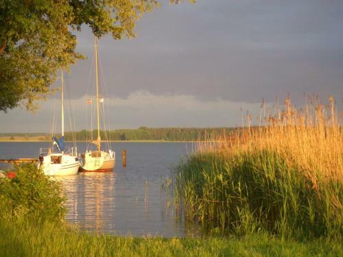 Apartamento Strandhaus Direkt Am Ufer Der M�ritz 100 M