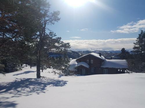 Kyrkjebygdheia