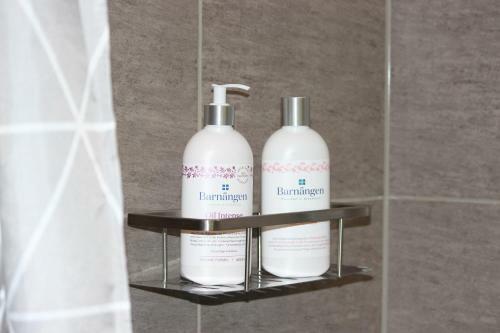 Ferienhaus Auf Gro�em Wassergrundst�ck Mit Kamin