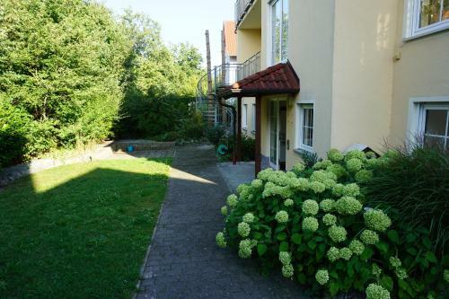 Apartamento Fw An Der Roth
