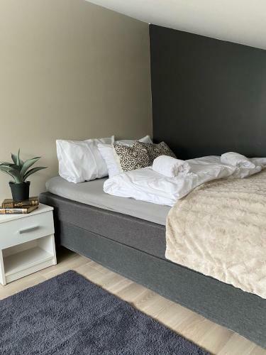 Reine City Apartment