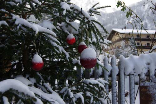 Apartamentos Wohlf�hlpension Tirolerhof