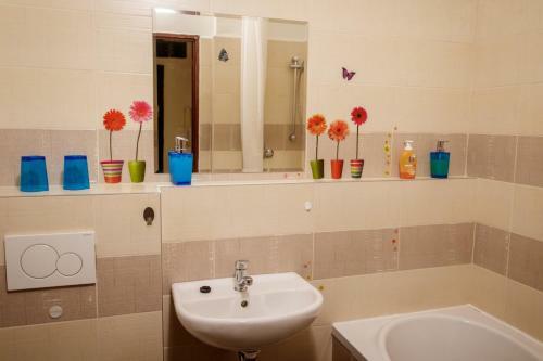 Apartamento �tuln� Druh� Domov V Srdci ?iliny