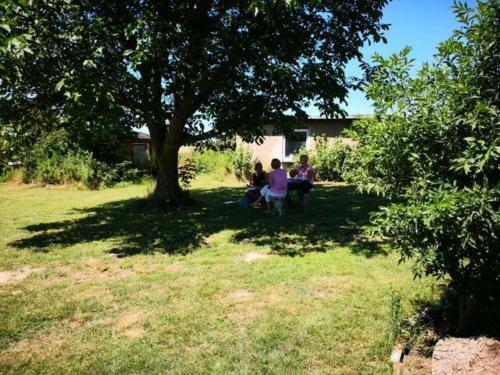 Apartamento Urlaub Nahe Der Peene N�he Der Ostsee