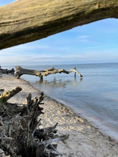Apartamento Urlaub Nahe Der Peene N�he Der Ostsee