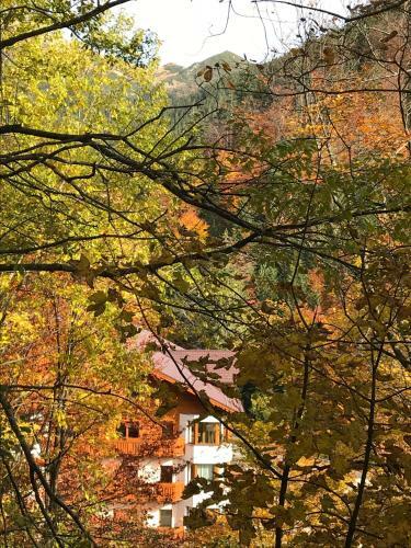 Apartm�n 16 Romantika Chopok Juh T�le