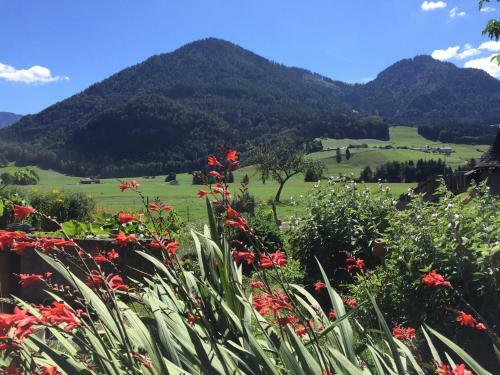 Apartamento Ferienwohnung Schifterhof