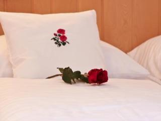 Aparthotel Gartenhotel Rosenhof Bei Kitzb�hel