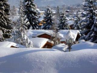 Aparthotel Gartenhotel Rosenhof Bei Kitzb�hel