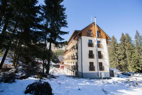 Apartman 11
