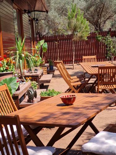 Bed & Breakfast Ekincik Art Camp