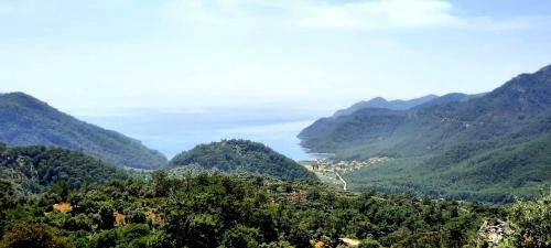 Bed & Breakfast Ekincik Art Camp