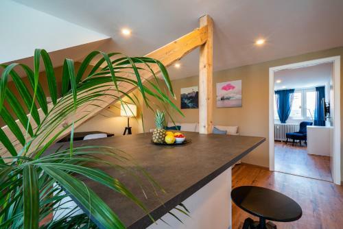 Apartamento Kaiser9