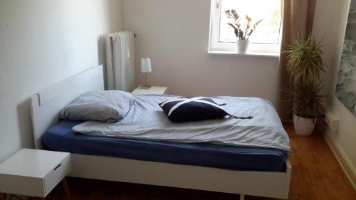 Scandic