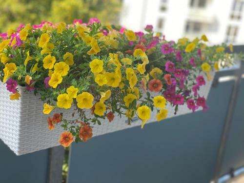 Apartment Mit Sonnenbalkon Und Netflix Im Zentrum