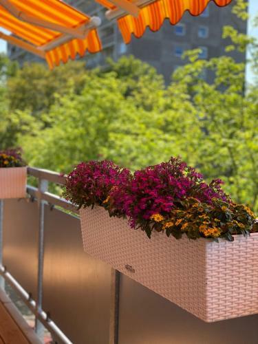 Apartment Mit Sonnenbalkon Und Netflix Im Zentrum