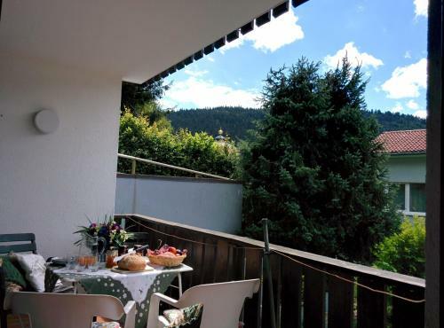 Apartamento Gib Mir Funf! Ferienwohnung In St. Blasien