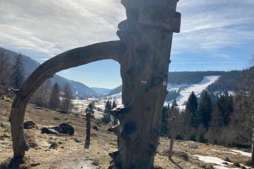 Apartamento Gem�tliche Ferienwohnung In Sankt Blasien