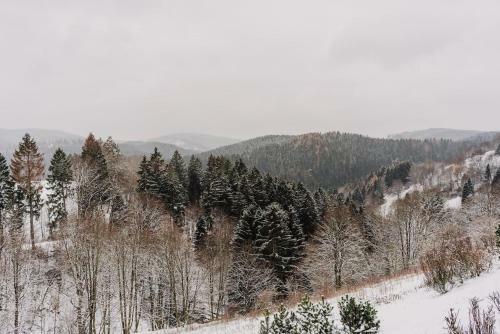 Apartamento Bergschwalbe St. Andreasberg
