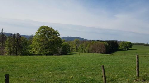 Apartamento Harz-butze