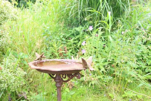 Apartamento Ferienwohnung Rosenkate