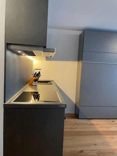 Apartamento Appartement Rosenalm Scheidegg 115