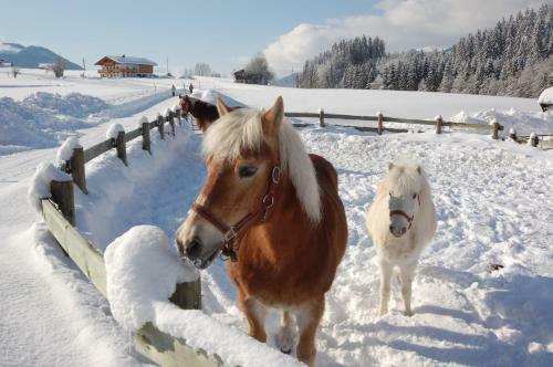 Agroturismo Ferienhof Unterhochst�tt